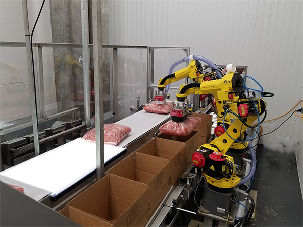 Robot Case Packaging